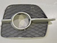 BMW X6 (E71 / E72) 2008-2014 Puskurin säleikkö, vasen Varaosakoodi: 51117188383